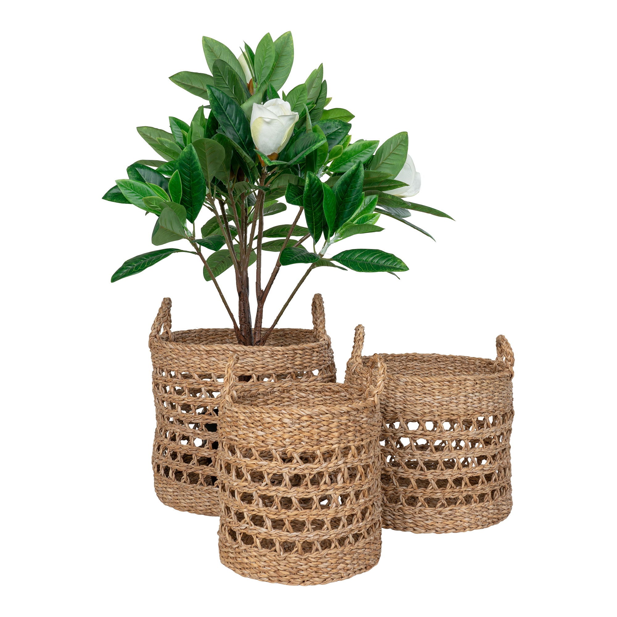 HOMEIDEA