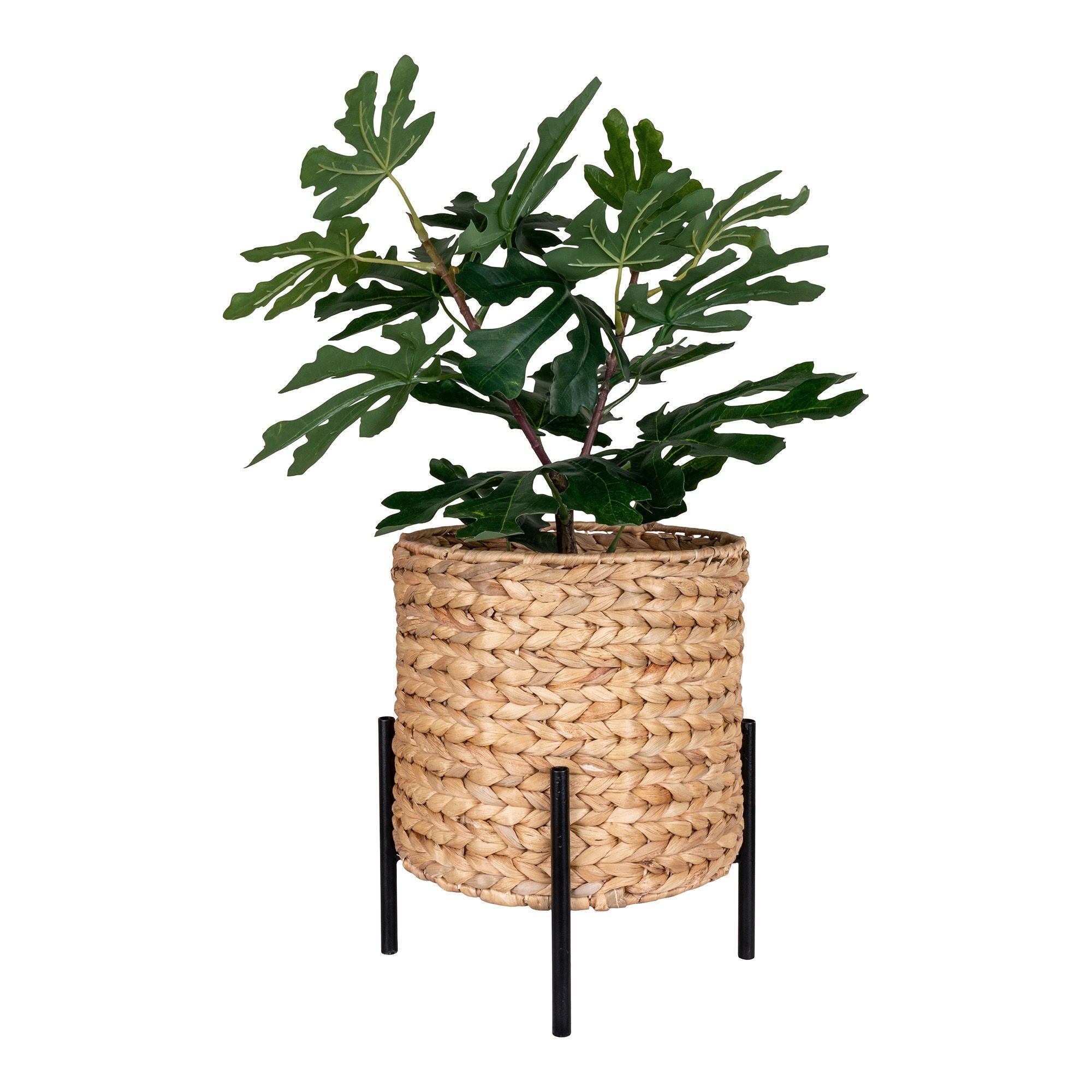 HOMEIDEA