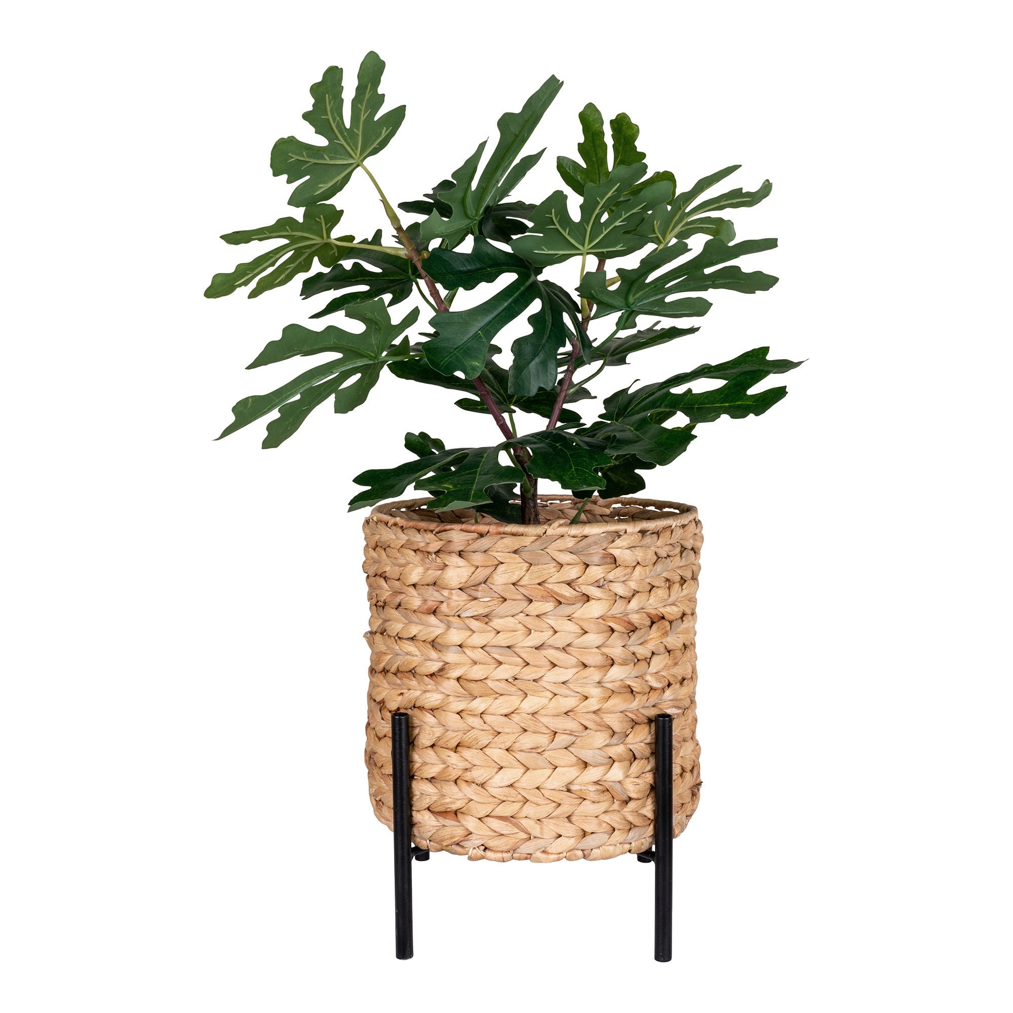 HOMEIDEA