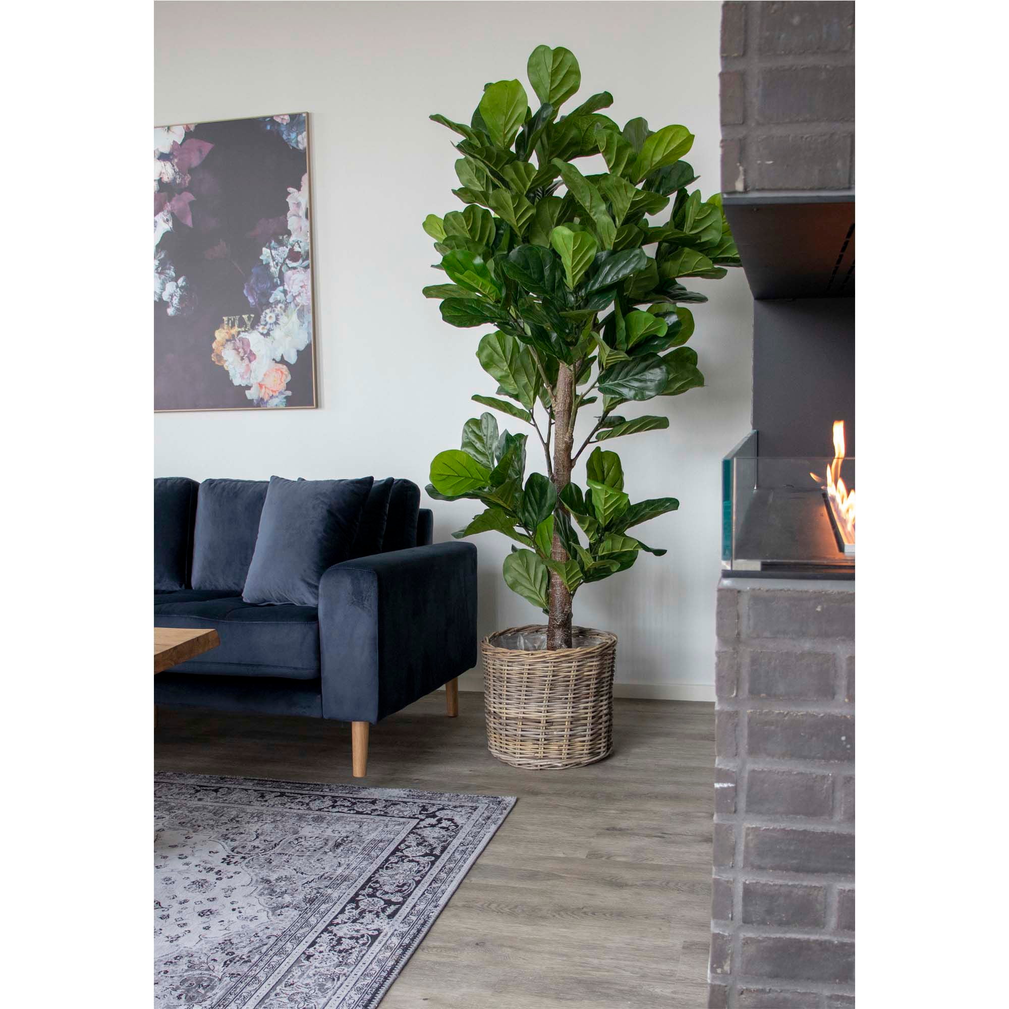 HOMEIDEA
